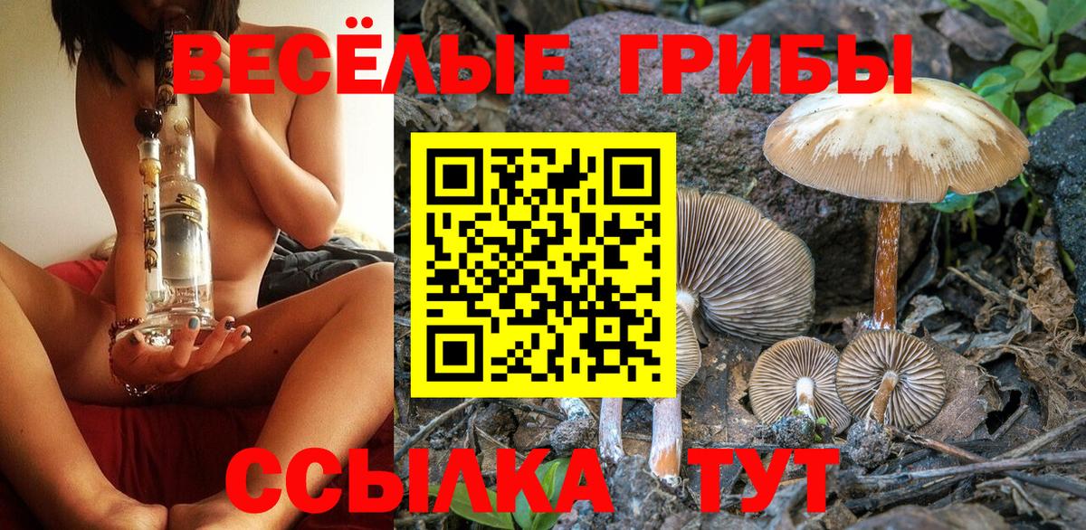 Карпинск  Псилоцибиновые грибы Psilocybine cubensis  Псилоцибиновые грибы Magic Shrooms  Вход с VPN 